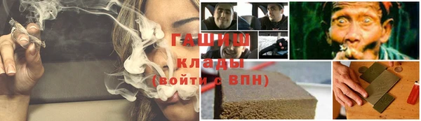 гидра Краснослободск