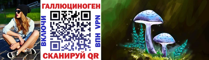 Галлюциногенные грибы Psilocybine cubensis Благодарный